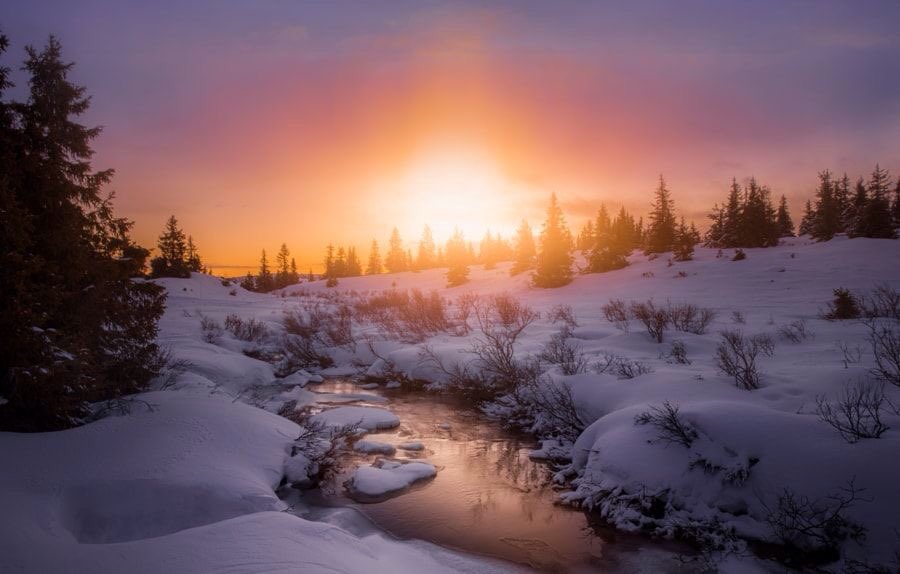 ramblingsloa's tweet photo. Even the darkest night will end and the sun will rise. 

Victor Hugo
Pic J A Pedersen https://t.co/qCb2LVDvMX