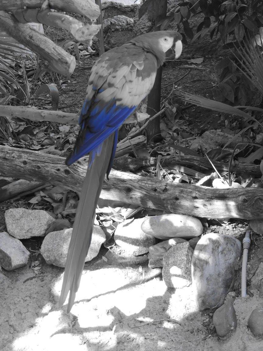 RickBecker40's tweet photo. @PhoenixZoo https://t.co/X39WSoduAS