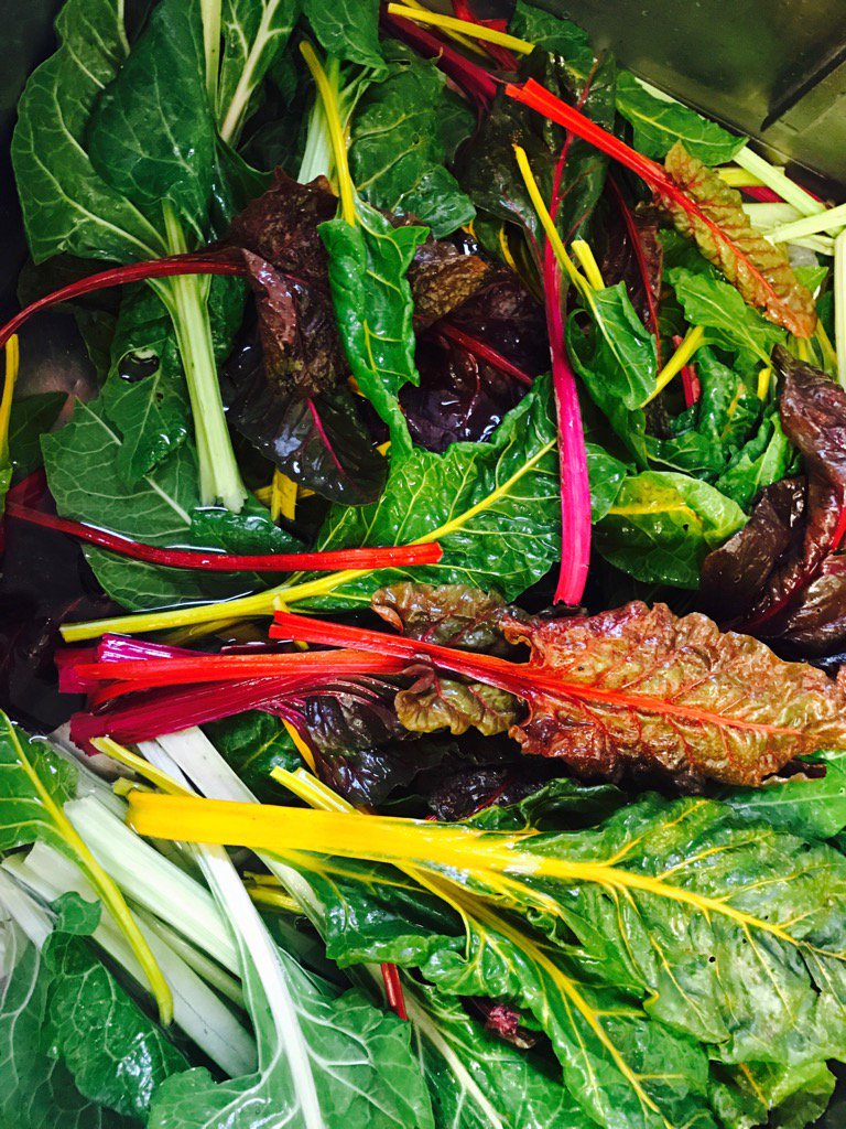 Fresh from the chefs allotment rainbow chard.. come and enjoy  #Sunday Roast #westward Ho