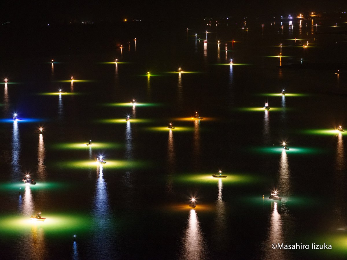 シラスウナギ漁