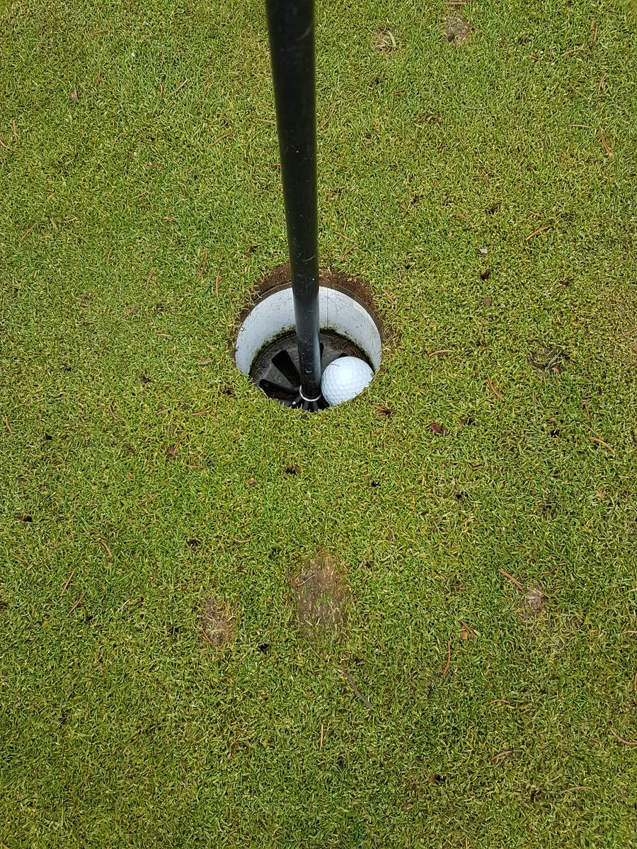 SiSpeechley's tweet image. First ever hole in one 
Great feeling
