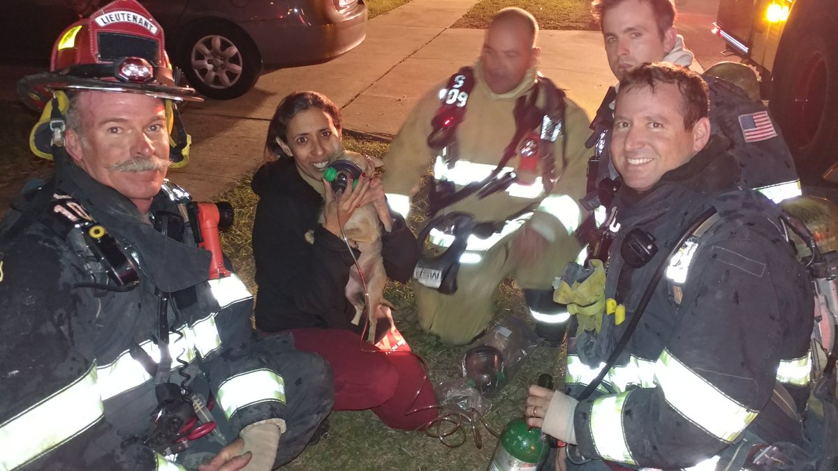 CFDlocal4350's tweet photo. #Ladder102 with the dog they saved from a structure fire last night! #StrongWork #ClermontFirefighters #UnionOfChampions https://t.co/IEQSEP0jVy