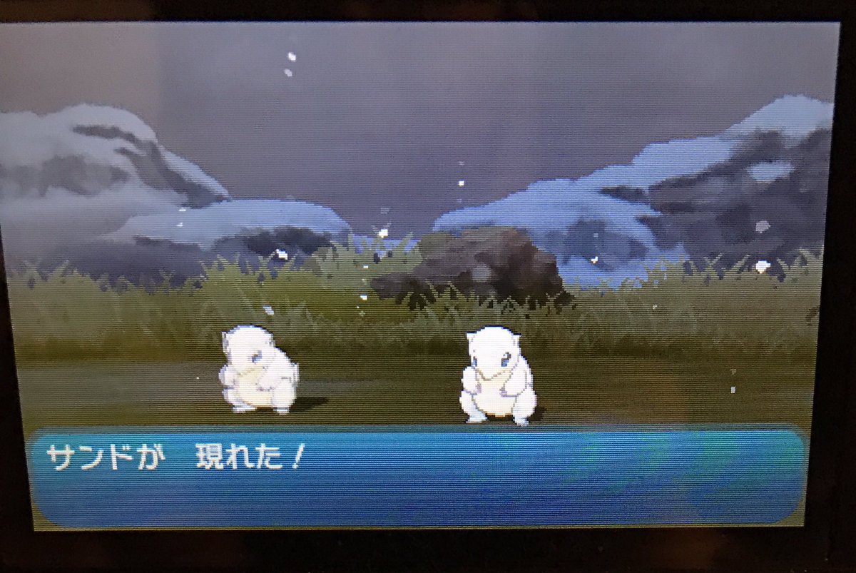 ありがひとし Arigahitoshi A Twitter 隠れ特性ゆきかきサンドがやっと手に入った 通常特性ゆきがくれで あられ下ヒョイヒョイが嫌だったんですが かたやぶりゴロンダを採用したら なかまづくりで書き換え前の相手の特性も確認できるし それまでメガフーディンの ありがひとし Arigahitoshi A Twitter 隠れ特性ゆきかきサンドがやっと手に入った 通常特性ゆきがくれで あられ下ヒョイヒョイが嫌だったんですが かたやぶりゴロンダを採用したら なかまづくりで書き換え前の相手の特性も確認できるし それまでメガフーディンの