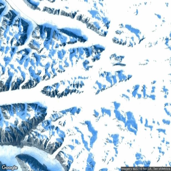 SaveTheArcticGlacier tweet media