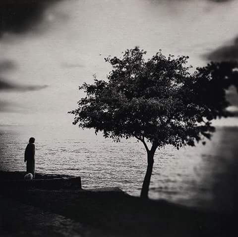 📷 Chris Kovacs