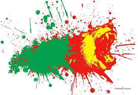 mrtino's tweet photo. #Un lion a dîné  du  lion  hier  soir# bravo les lions  indomptables https://t.co/58skbn1pLW