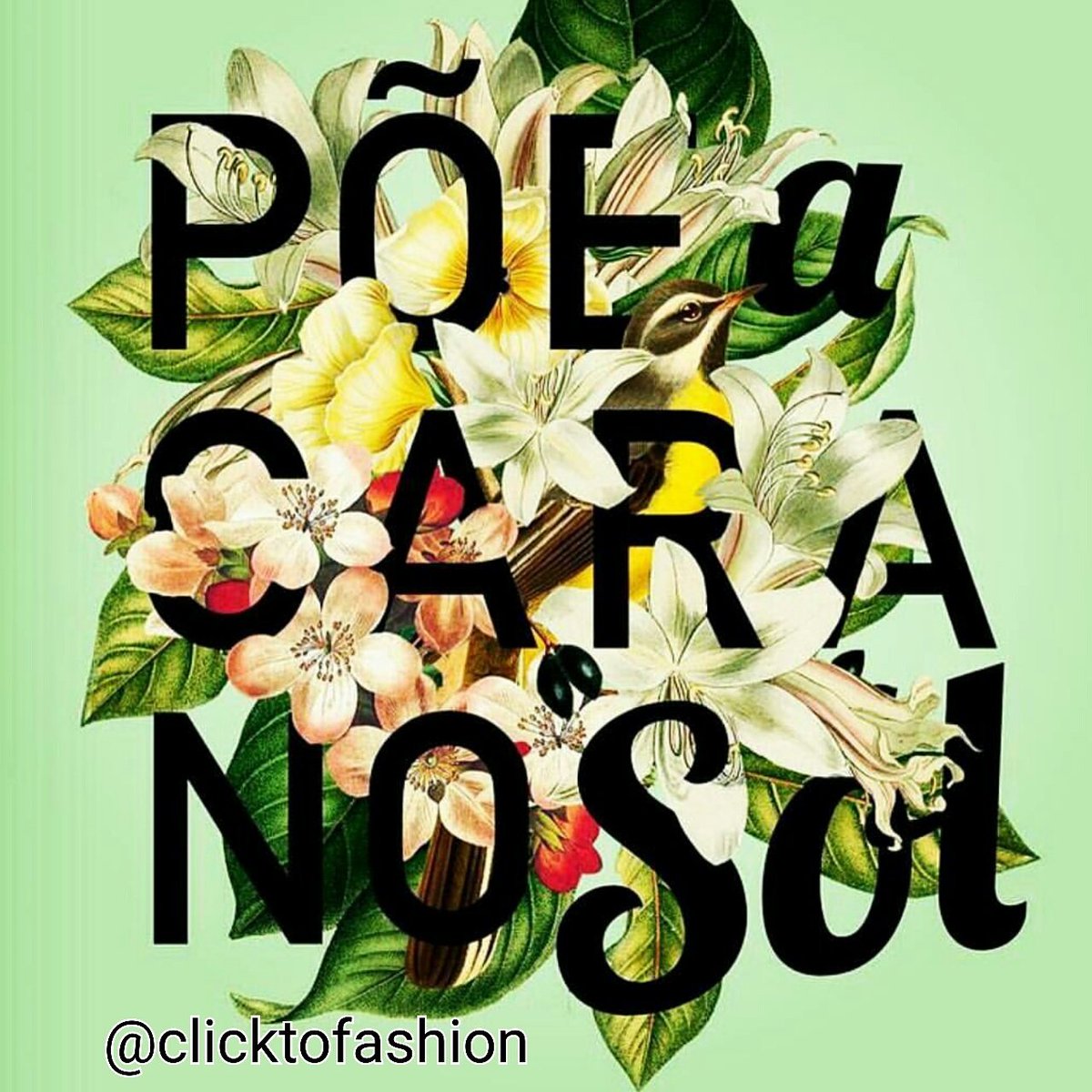 Click2fashion1's tweet photo. Um domingo maravilhoso!! #bomdia #happy #goodvibes #positividade https://t.co/7zWoxUcQaD