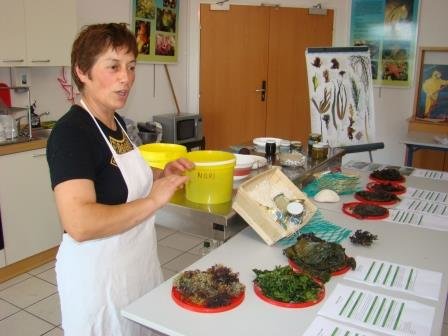 RegineQueva's tweet photo. Au Guilvinec, découvrez les #algues et la #cuisine aux #algues avec Scarlette Le Corre.
https://t.co/LnhuyejDyV https://t.co/Q3euu8Wv2Z