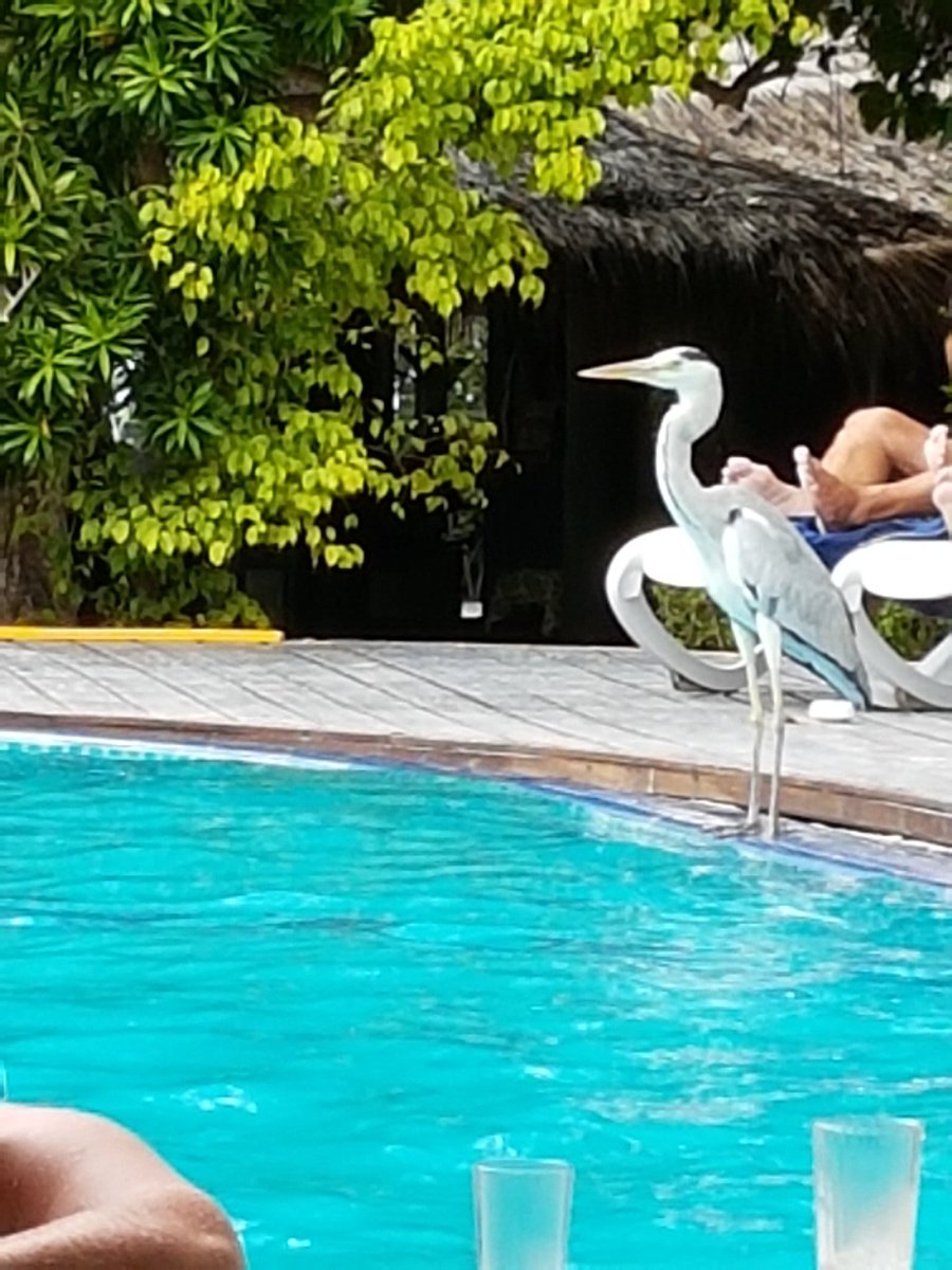 Scousemum's tweet image. In #Maldives having an amazing time in #Hudhuranfushi #AdaaranSelect