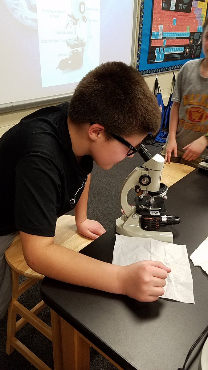 drholly56's tweet photo. #walkerlearns STEM students stain and examine bacterial specimens from their cultures. https://t.co/pYZuH6tbsg