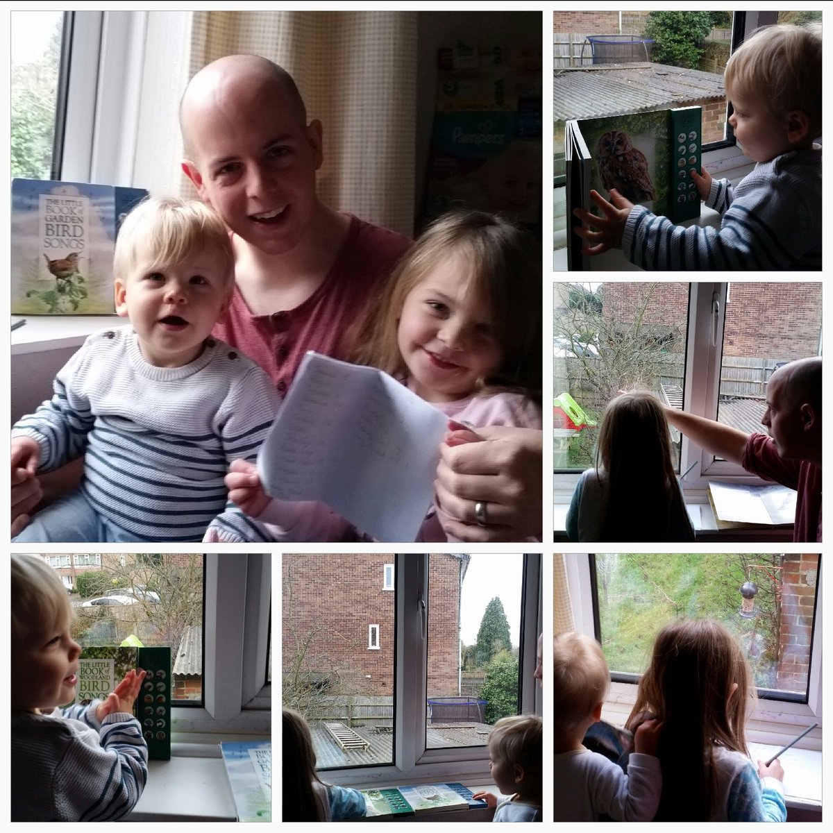 MumWithEpilepsy's tweet photo. We've just done the #BigGardenBirdwatch! Seen lots of birds from our bird sound books too @Natures_Voice https://t.co/QKh79DwRrf