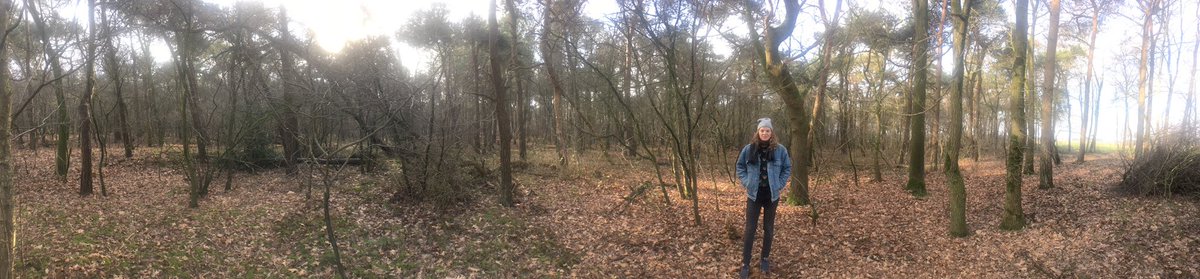 Scouts Inc. tweet media