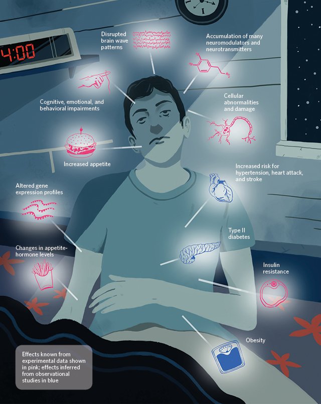 DrKristieLeong's tweet photo. Lack of quality #sleep impacts almost every aspect of your #health.Are you getting at least 7 hours? https://t.co/ioaM3Oh6Yu
