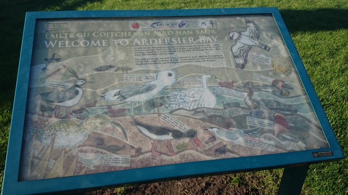 StrachanMary's tweet photo. @velocitylove #Task28&amp;29 #GoJan2017 lovely walk to Ardersier Bay and back plenty of birdsong just can't see them #BigGardenBirdWatch #lovely https://t.co/YgZOSiU0ye
