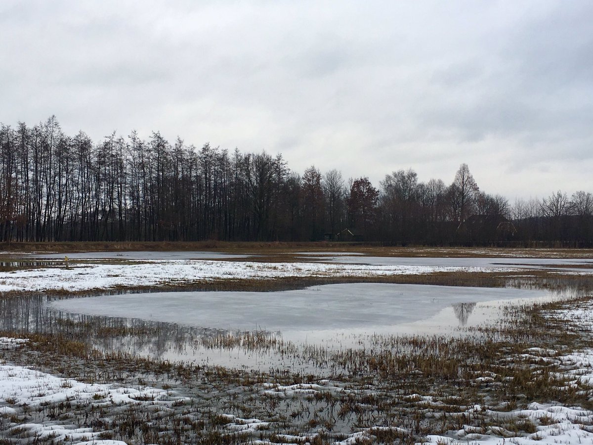Zondagochtend 10.30 uur, op stap in <a href="/staatsbosbeheer/">Staatsbosbeheer</a> terrein #Hagenbeek bij #Barchem. Mooi en bbbbitter kkkkoud!
