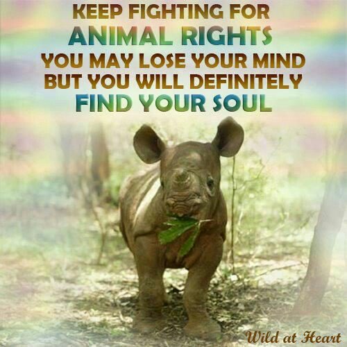 Riyagch's tweet photo. It's really sad that today we humans lack in humanity the most😢😷 https://t.co/UJJVLrzIQ8