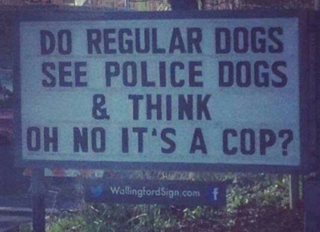 Good question.