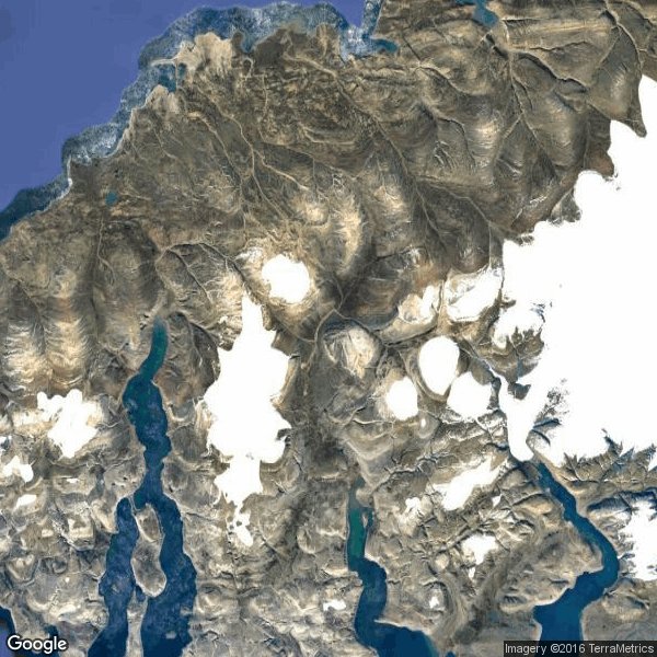 SaveTheArcticGlacier tweet media