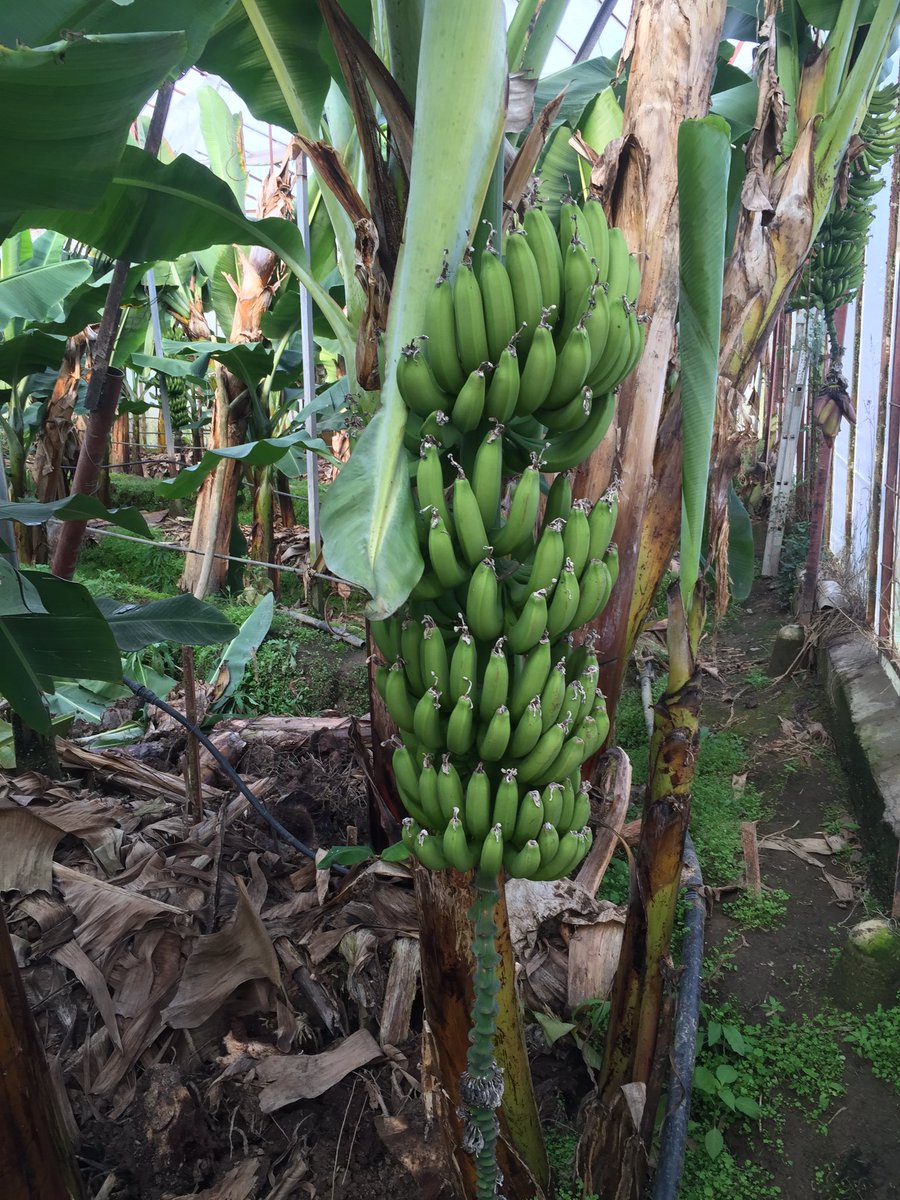 Benim güzel memleketim.