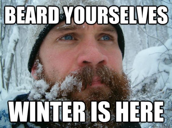BaldingBeards's tweet photo. #BeardWarmth is necessary. https://t.co/LMpCIFqffq
