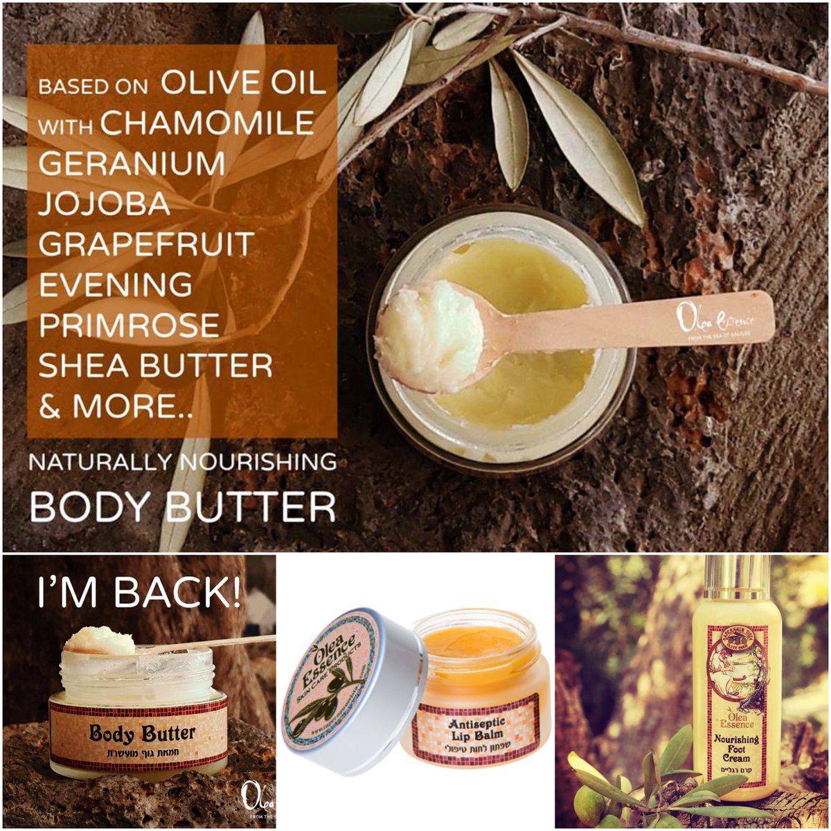 OLEA ESSENCE tweet media