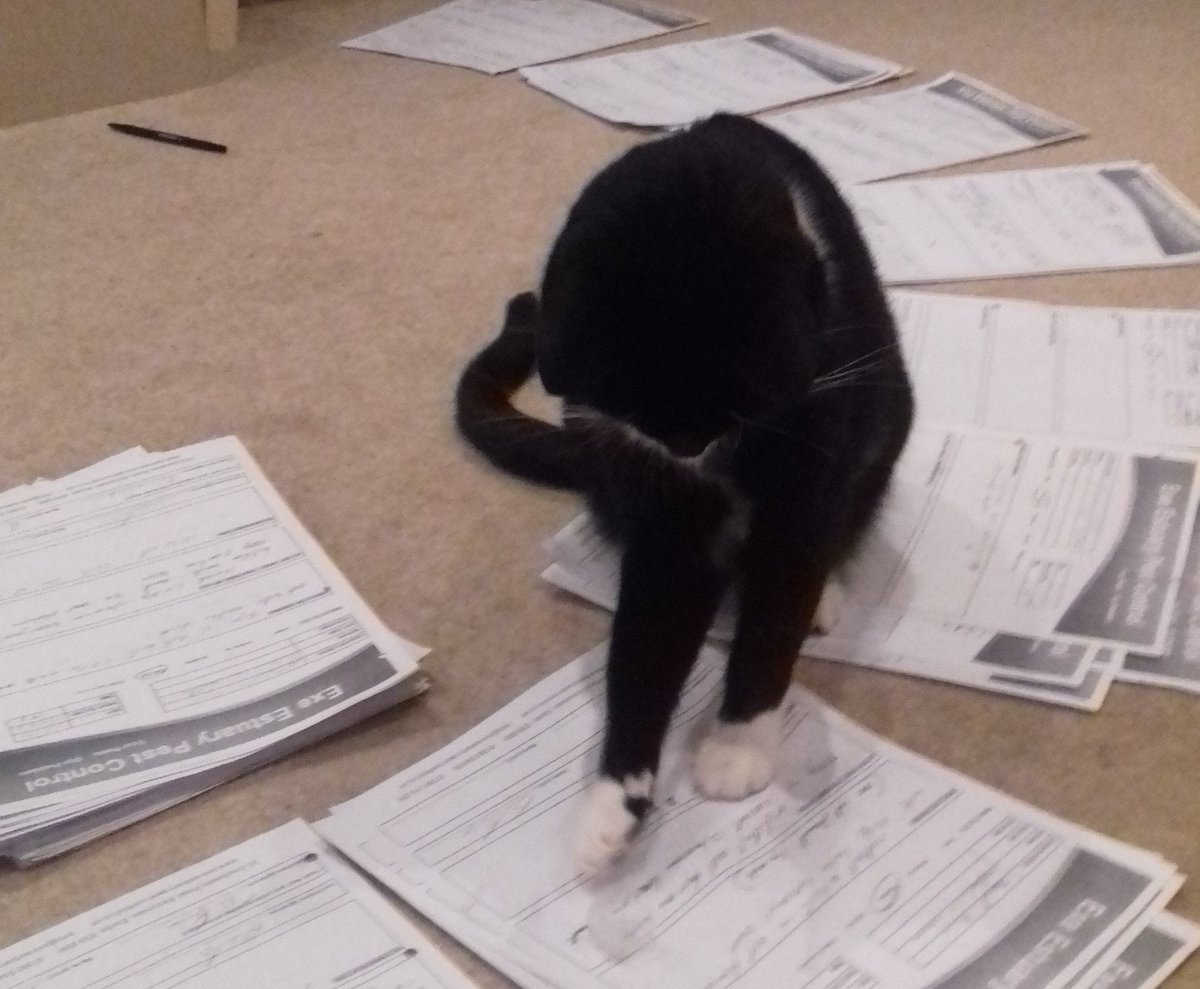 exeestuarypest's tweet image. Our #DomesticPestControl technician trying to help with the paper work. Think he needs a bit more CPD.
exe-estuary-pest-control.co.uk