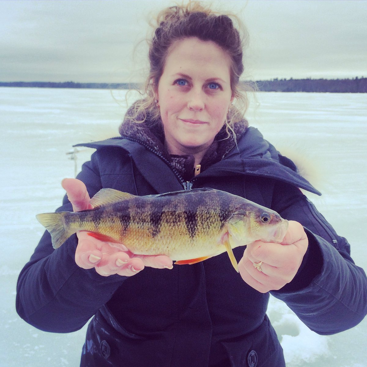 cara carmichael tweet media