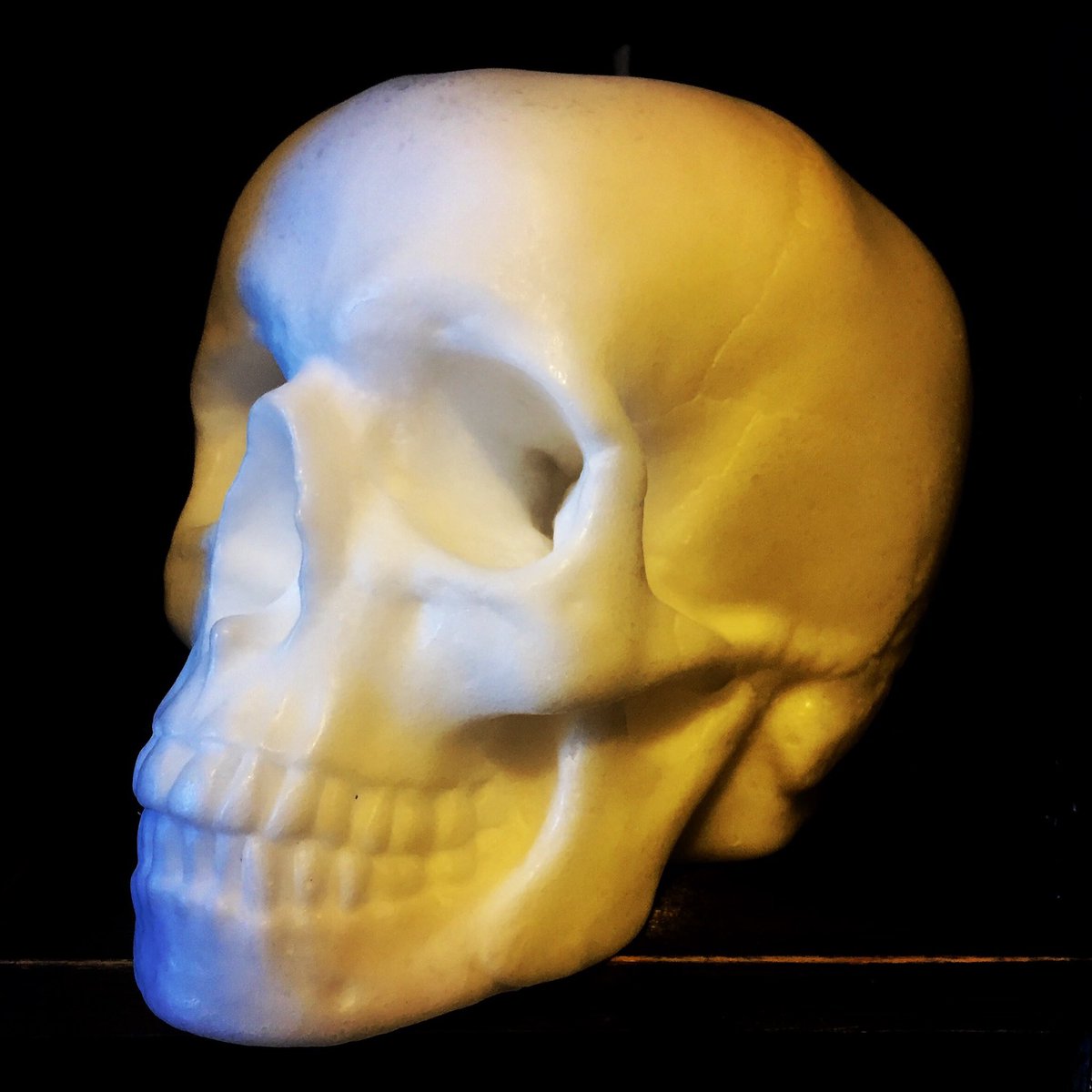 reinkarnation15's tweet photo. Life size skull CANDLE available at Reinkarnation soon! Made by @gauciorganics  and wanted very much by me! 
#candle #Gauci #Reinkarnation https://t.co/uNfAaDeghd