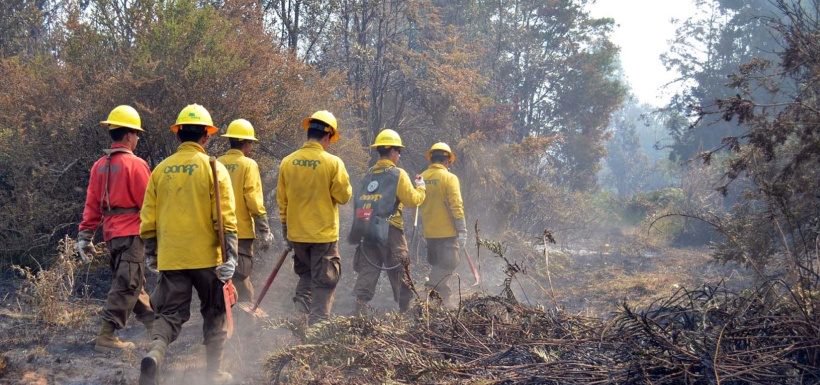 latercera's tweet photo. Balance Conaf: 51 incendios controlados, 59 en combate y 8 extinguidos https://t.co/QNRsNkUmGp https://t.co/ugcKJ7KK6C