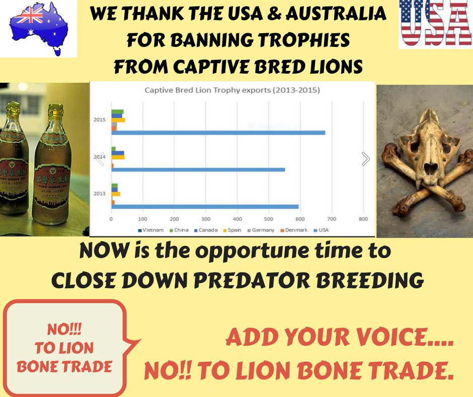 FriendsSALions's tweet photo. Now is the opportune time to close predator breeding farms in #southafrica 
#lions #lionbonetrade @Blood_Lions @CITES @John_CITES
@WildAid https://t.co/FO69ksWfeb