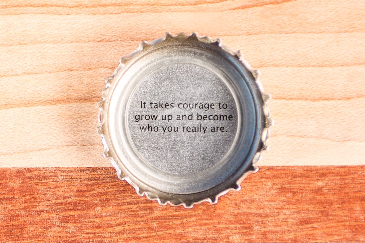 BONVIVSeltzer's tweet photo. "Become who you really are." #SpeakInCaps #SpikedResolutions2017 https://t.co/mmsxfhxfh3