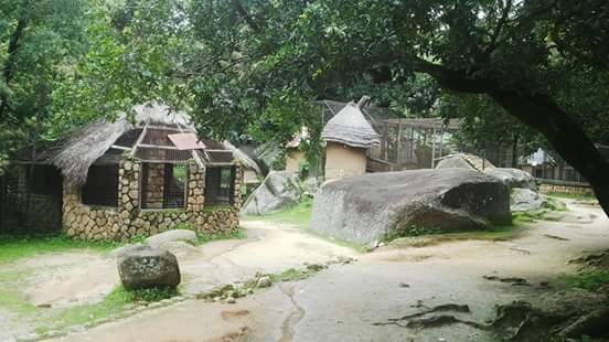 WeJosRock's tweet photo. Visit the #Jos museum. 
#WeJosRock #WeJosBeautiful #PlateauState #JosOnFire #Nigeria https://t.co/TNDXh7kvAH