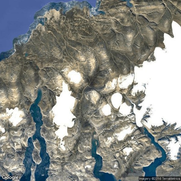 SaveTheArcticGlacier tweet media