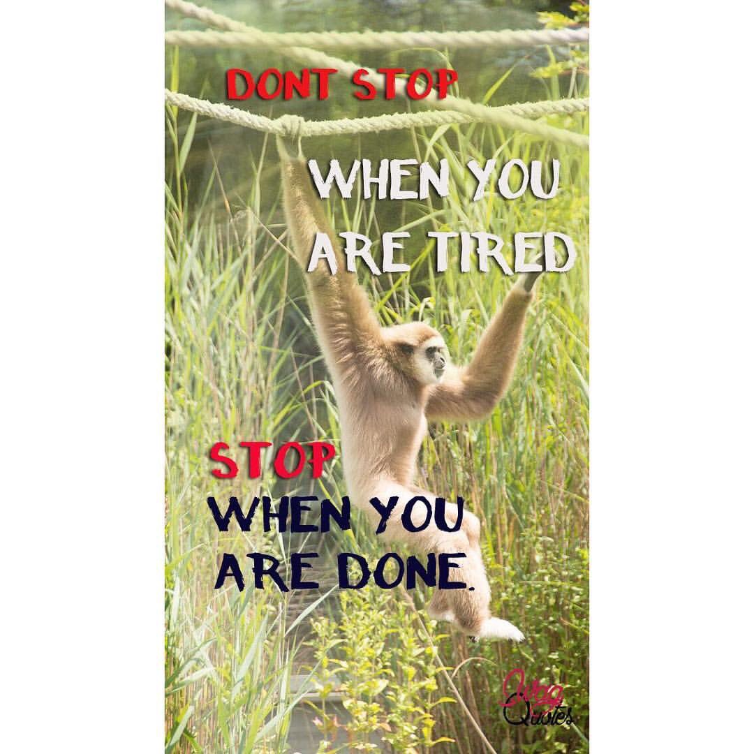 easycodinglab's tweet image. Stay focused. Have a blessed Sunday