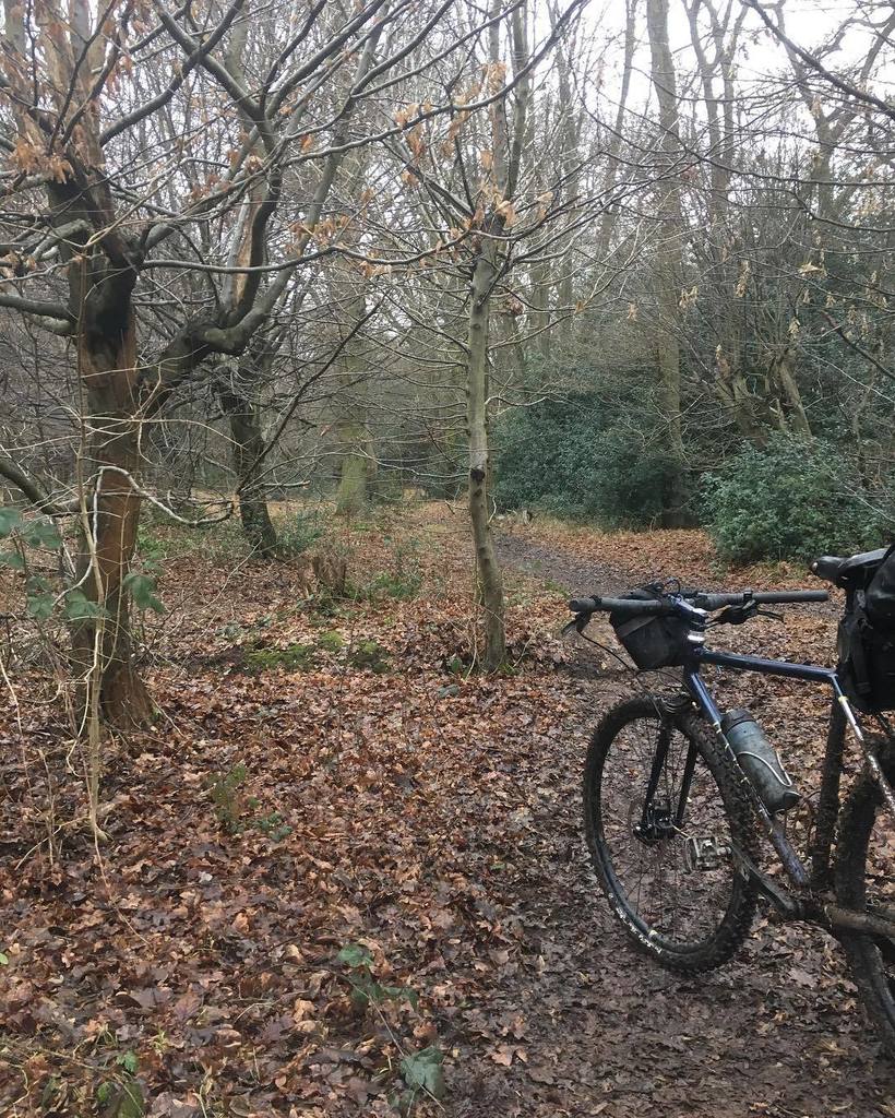 HartleyCycles's tweet photo. Getting lost on the woods with @money_melon @ldnbikekitchen #eppingforest #notgnarley https://t.co/nqJdaJaO4R