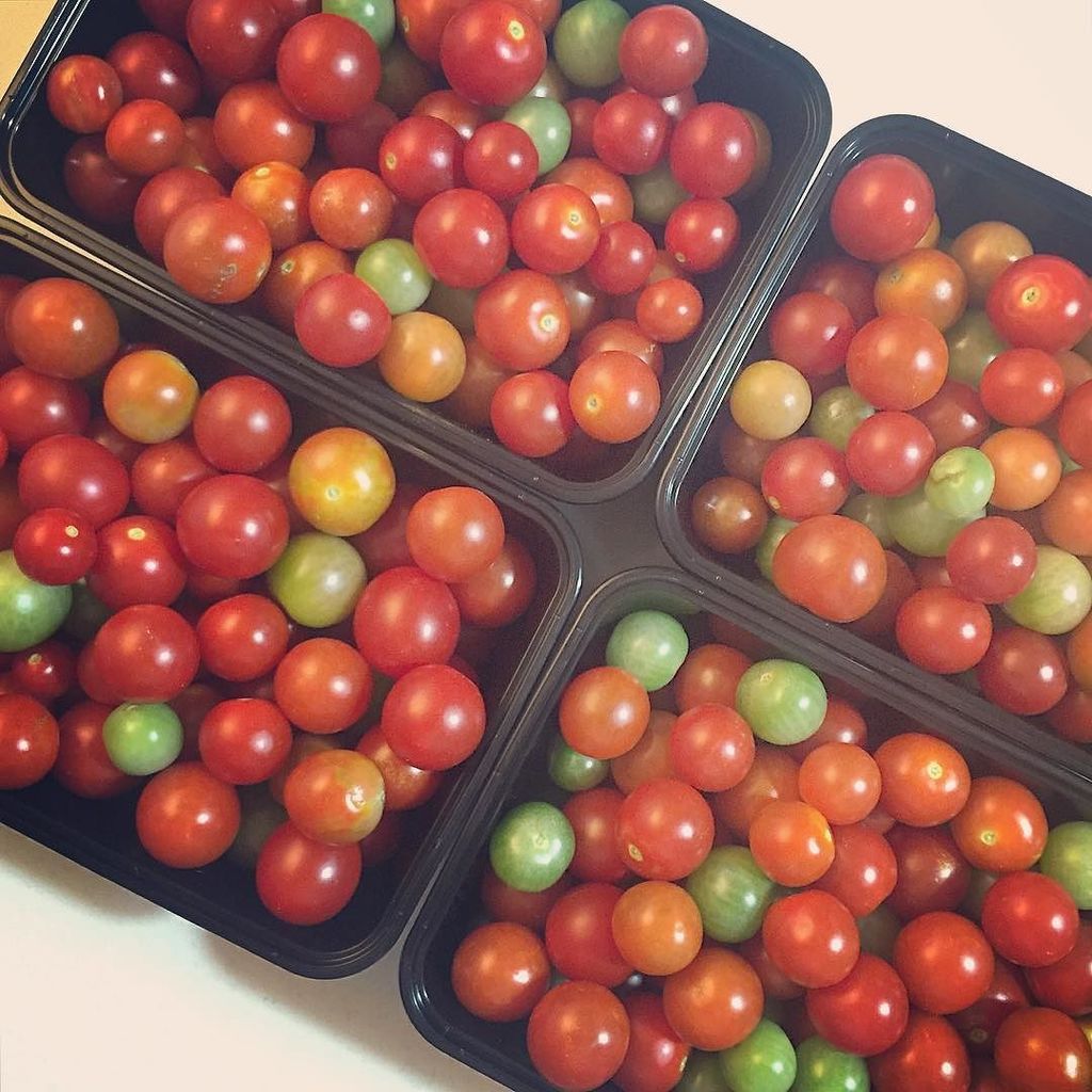 moncorpuz's tweet photo. My father sent these over this afternoon 🍅🍅🍅😲😜😘 #cherrytomatoes #organic #homegrown #corpu… https://t.co/6GdHL3cYed https://t.co/5L4SD9Ipg4