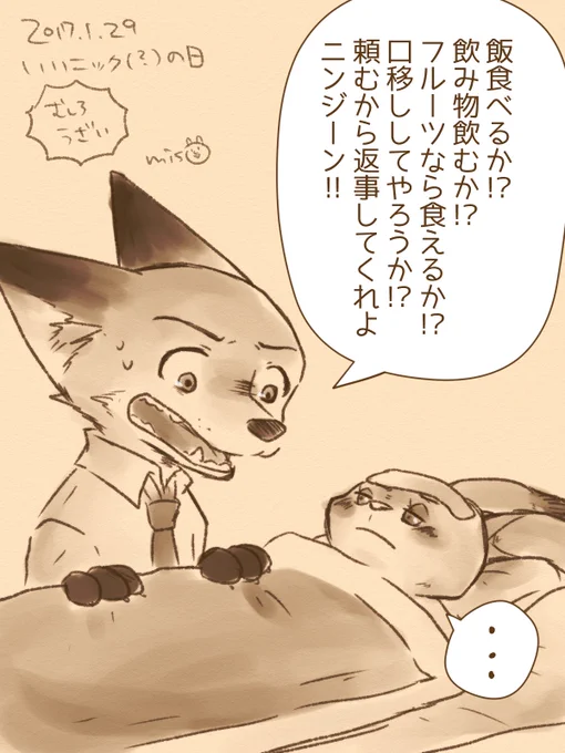 滑り込みいいニックの日、やりすぎてむしろうざいニックを体調不良の方が多いTLに放流しておきます 