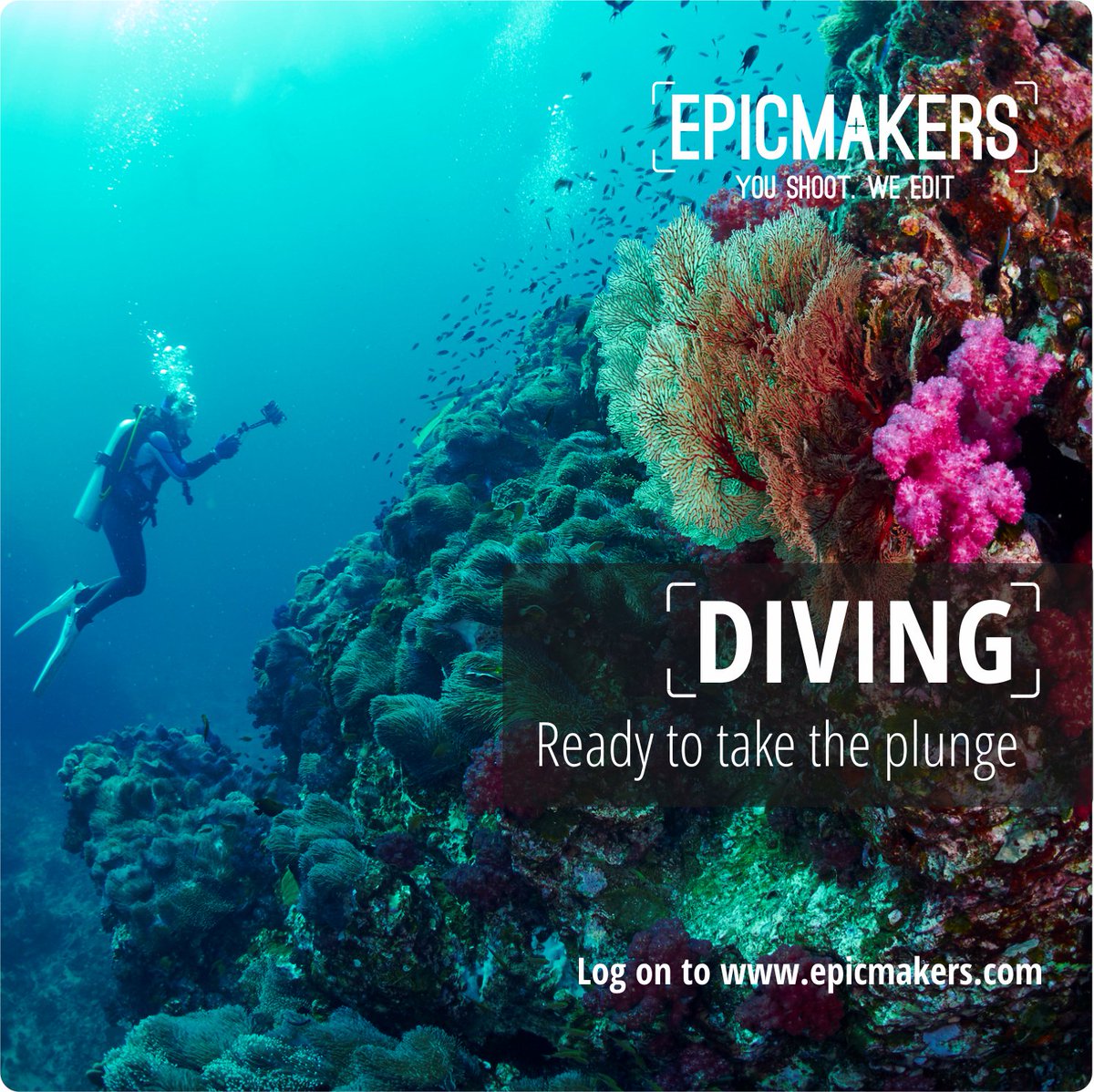 MakersEpic's tweet photo. #DivingTip The GoPro helps you get really close to your subject. So stay at armโs length to avoid distortion. Unless thatโs the intention :) https://t.co/7jauOlEfqP