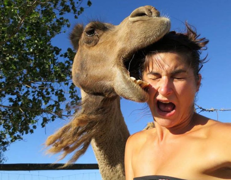 Don't let stress and overwhelm take over your life and mind.