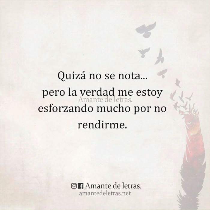 JoseMaArro's tweet image. 