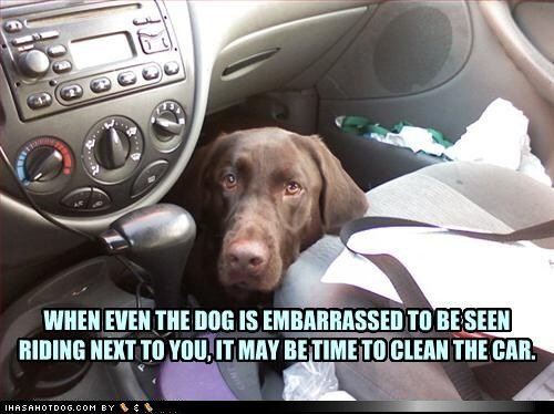 We come to you! Full service Auto Detailing, House Washing, Gutter and Window Cleaning! Call today 9199090472 and drdetail919.com!!!