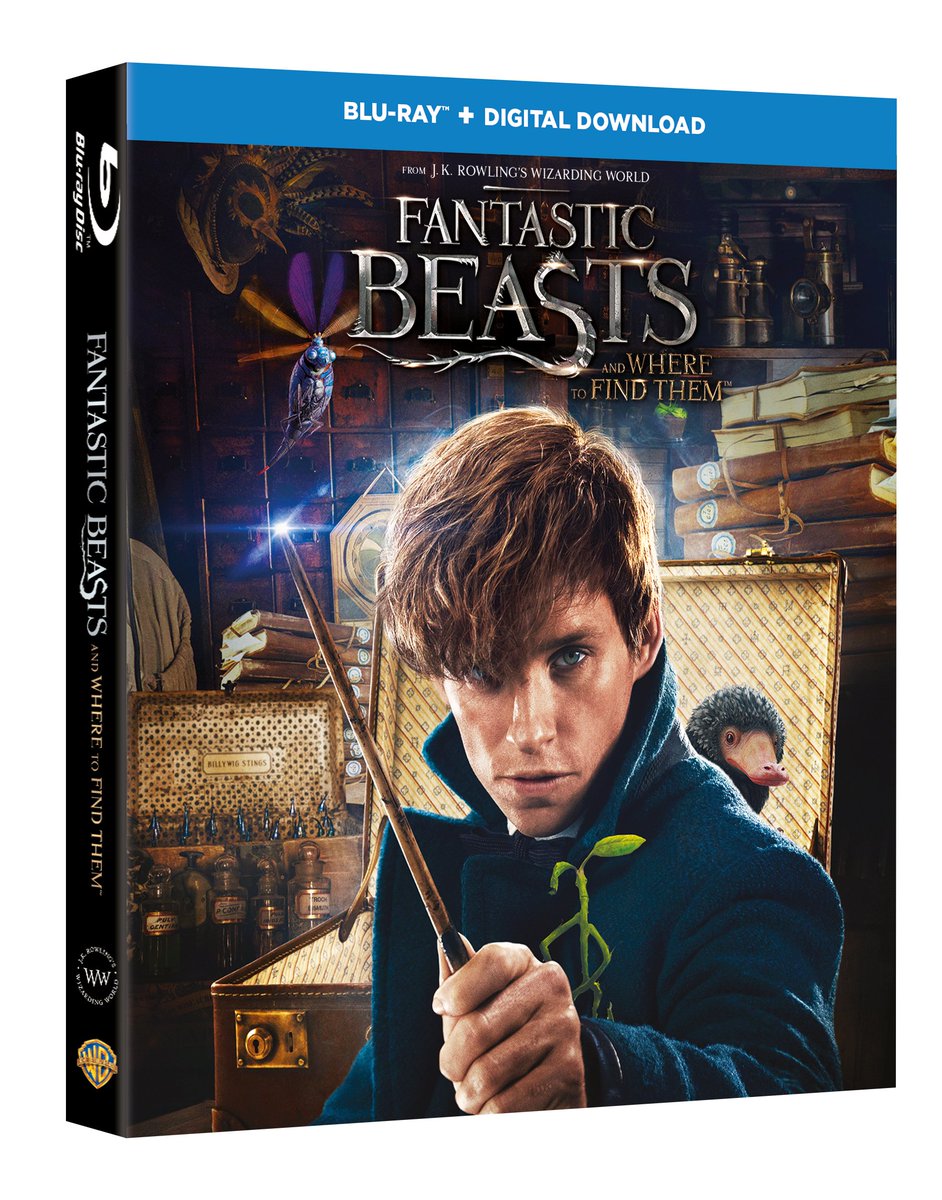 BeastsMovieUK's tweet photo. A new era of magic begins. 
Pre-order your copy of #FantasticBeasts on Blu-ray and DVD now. https://t.co/zWbIwOyqem https://t.co/csOYrHpBeo