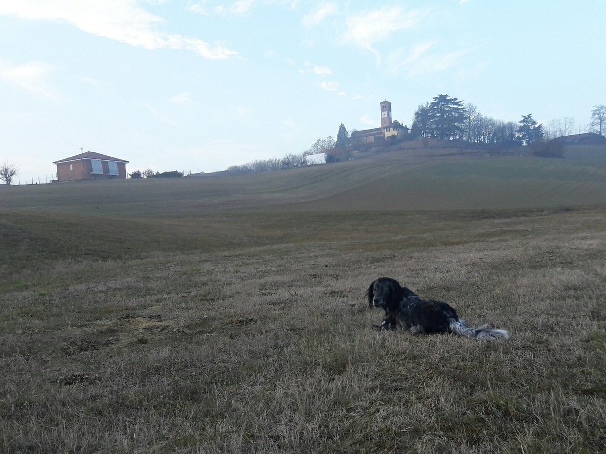 TelliniMassim's tweet photo. #Still Sunday...🐾🐾😍🎉
@BlueInLoveWLife https://t.co/XXWrjaWuXc