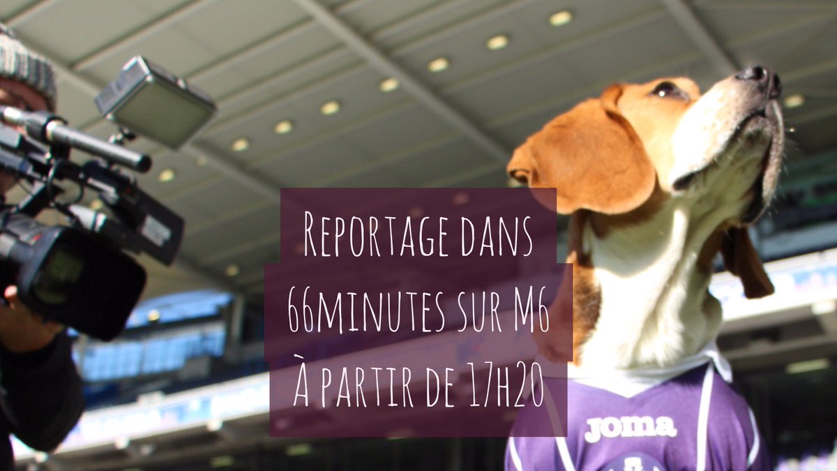 Rendez-vous dans #66minutes sur <a href="/M6/">M6</a> à partir de 17h20 pour suivre ma daily dog life de toutou'lousain! ❤