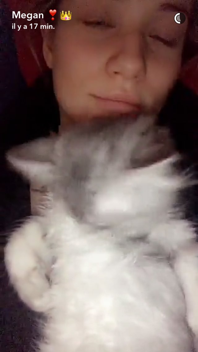 megansourceoff's tweet photo. Câlins, toilette (griffures)...Maki toujours aussi mimi 🐱 https://t.co/jrRKmn94er