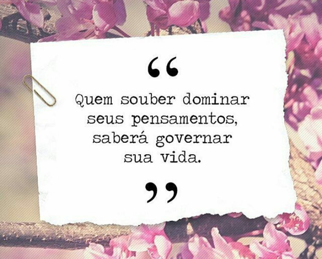 Ana Regina Dominguez (@anareginadoming) on Twitter photo 