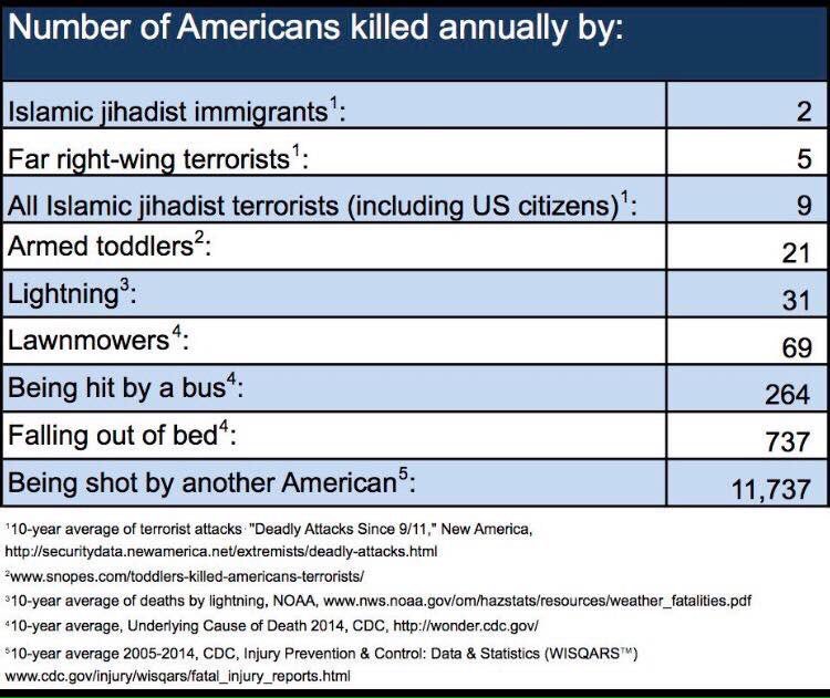 Dear Mr <a href="/POTUS/">President Donald J. Trump</a> are you also going to ban murderous armed toddlers and killer beds too? #MuslimBan #trump #america #americanidiot