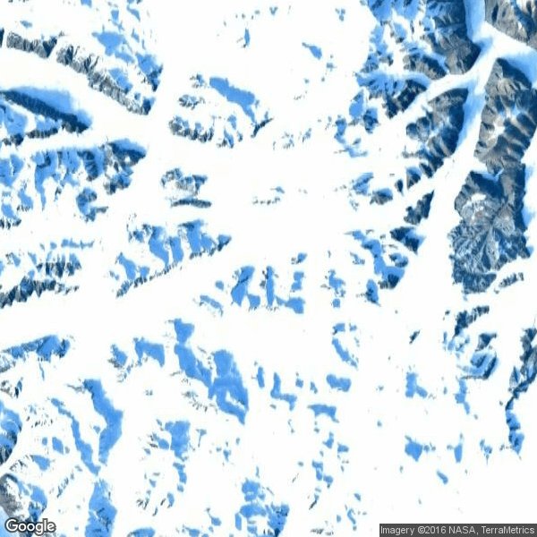 SaveTheArcticGlacier tweet media