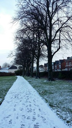 deborahharries's tweet photo. Please join Friends of #AcocksGreenRecreationGround in Broad Road this Saturday 4th February 10am - 12pm for their monthly litter pick https://t.co/XYYE5BPIch
