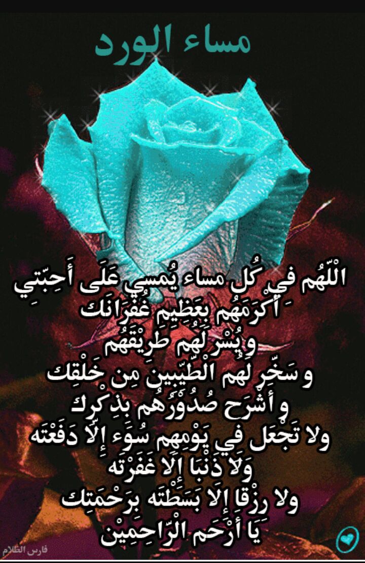 pirehd's tweet image. 